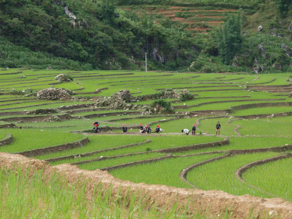 Field jackets and friendships