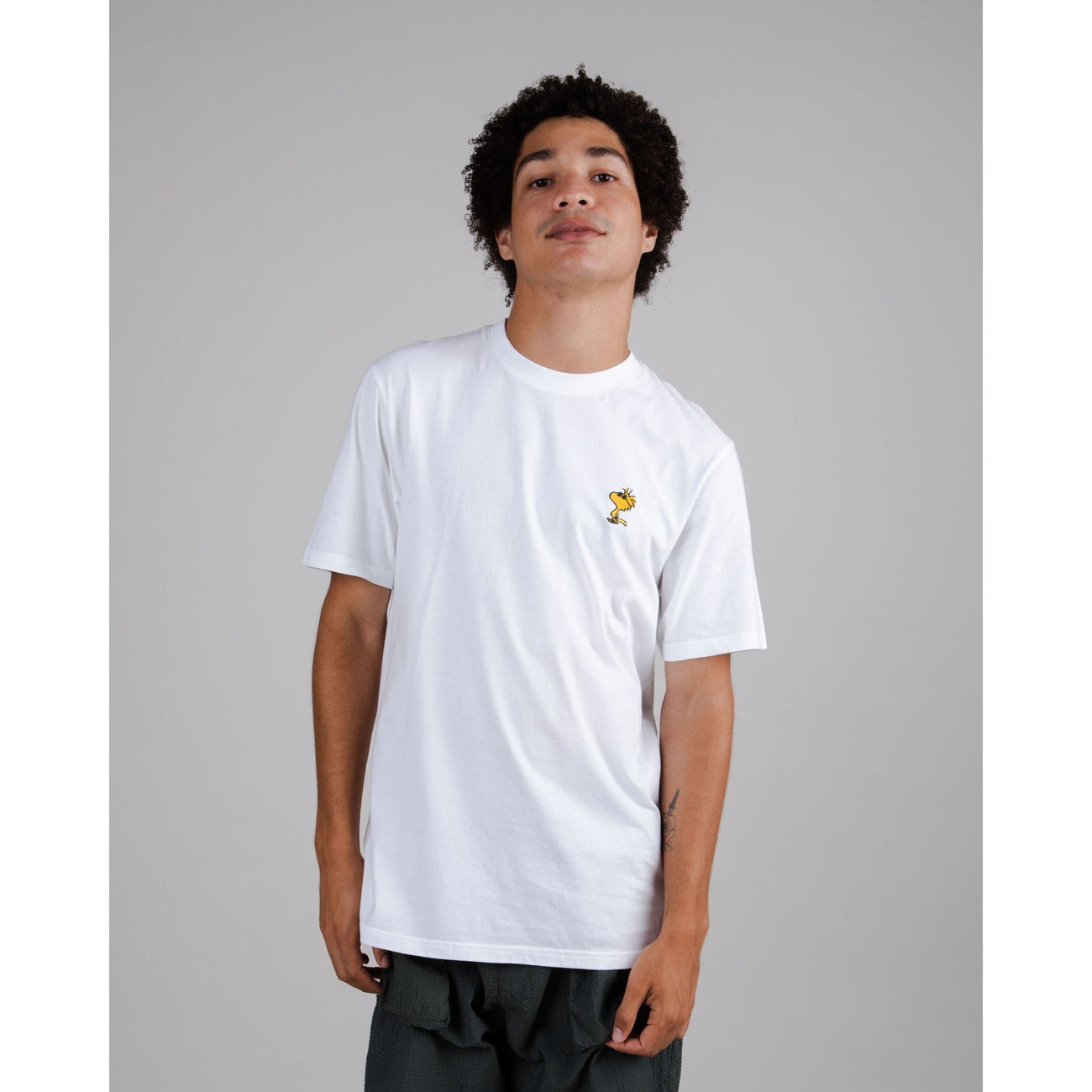 Load image into Gallery viewer, Brava Fabrics Peanuts Sunny Woodstock T-shirt
