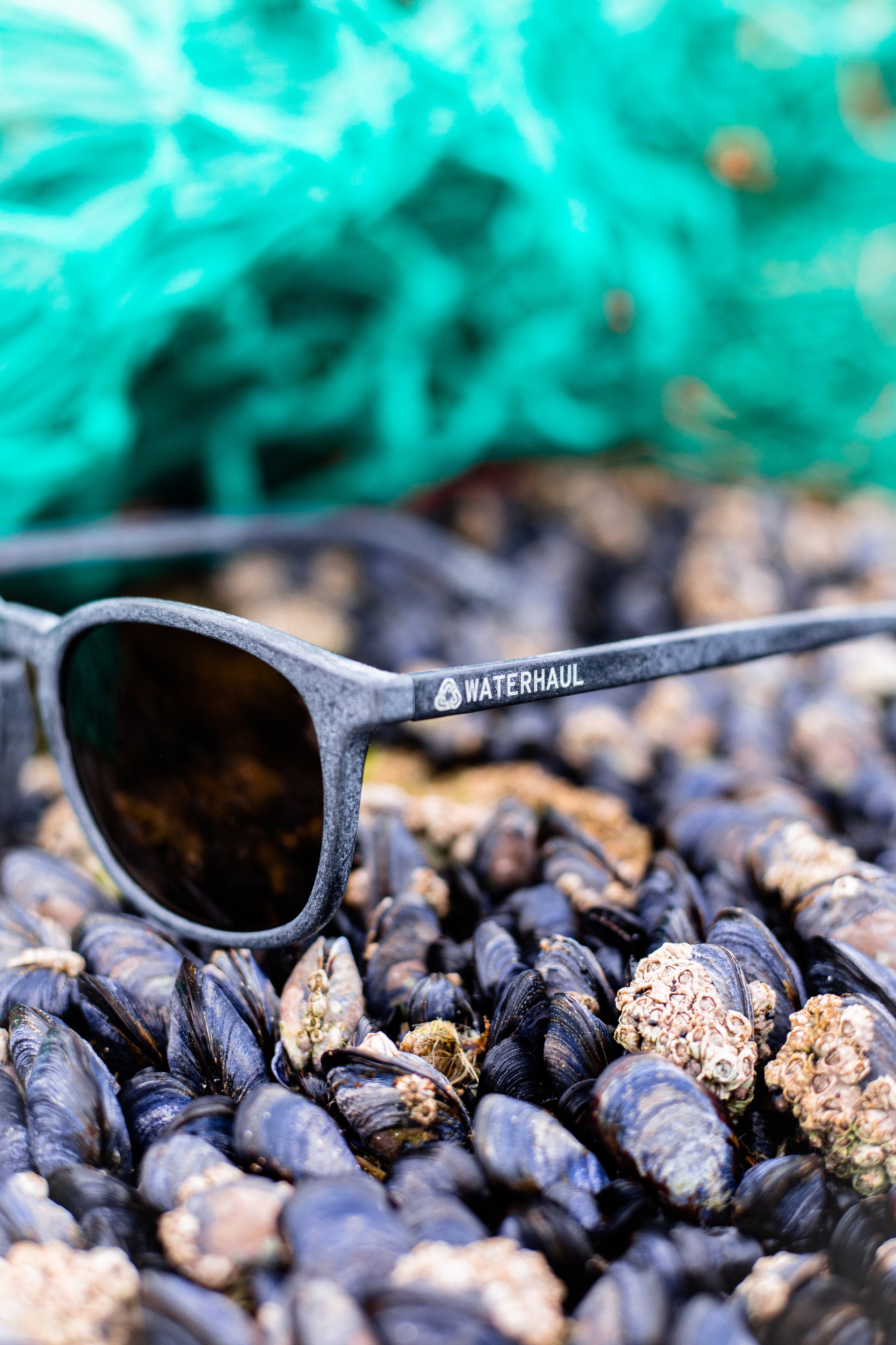 Kynance Slate Sunglasses