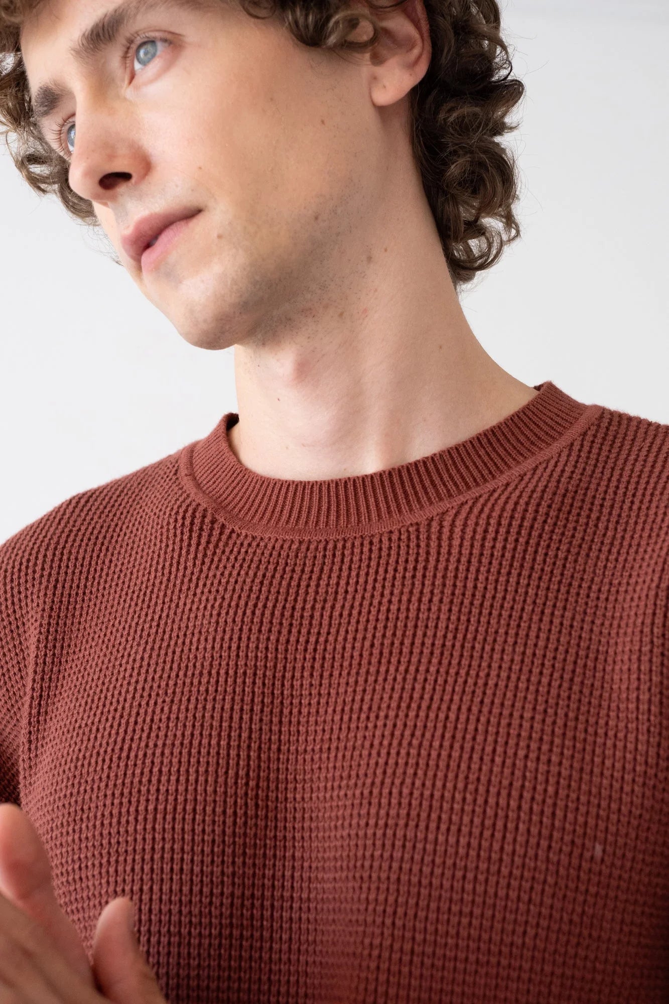 Tam Jumper Made Of Organic Cotton